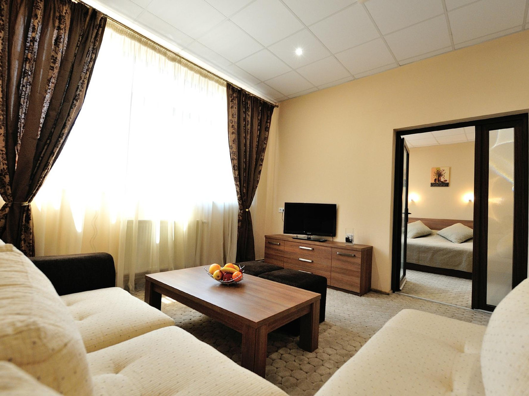 Poienarii Burchii酒店住宿-Hotel Sud