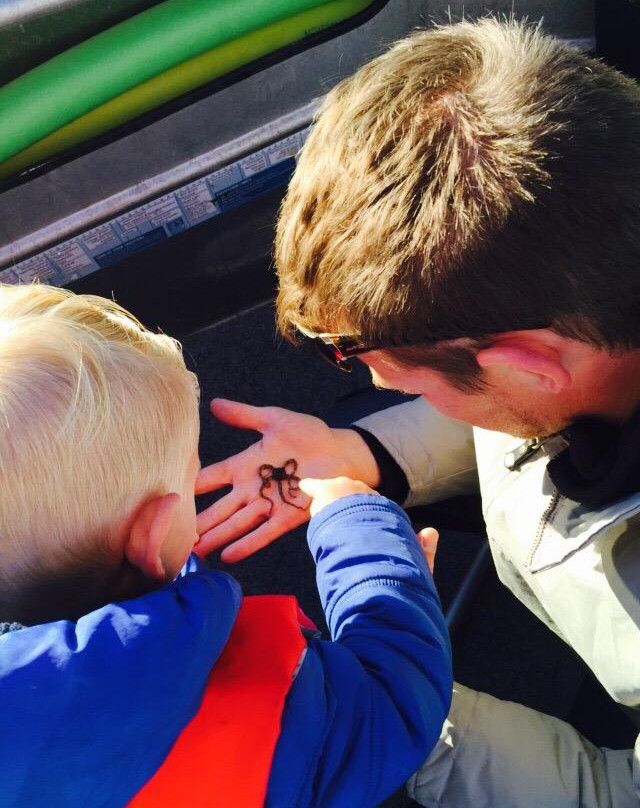 Turquoise Safaris-朱里恩湾必去景点