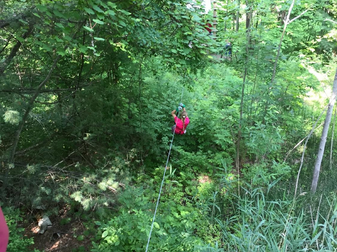 Catamount Aerial Adventure Park景点图片