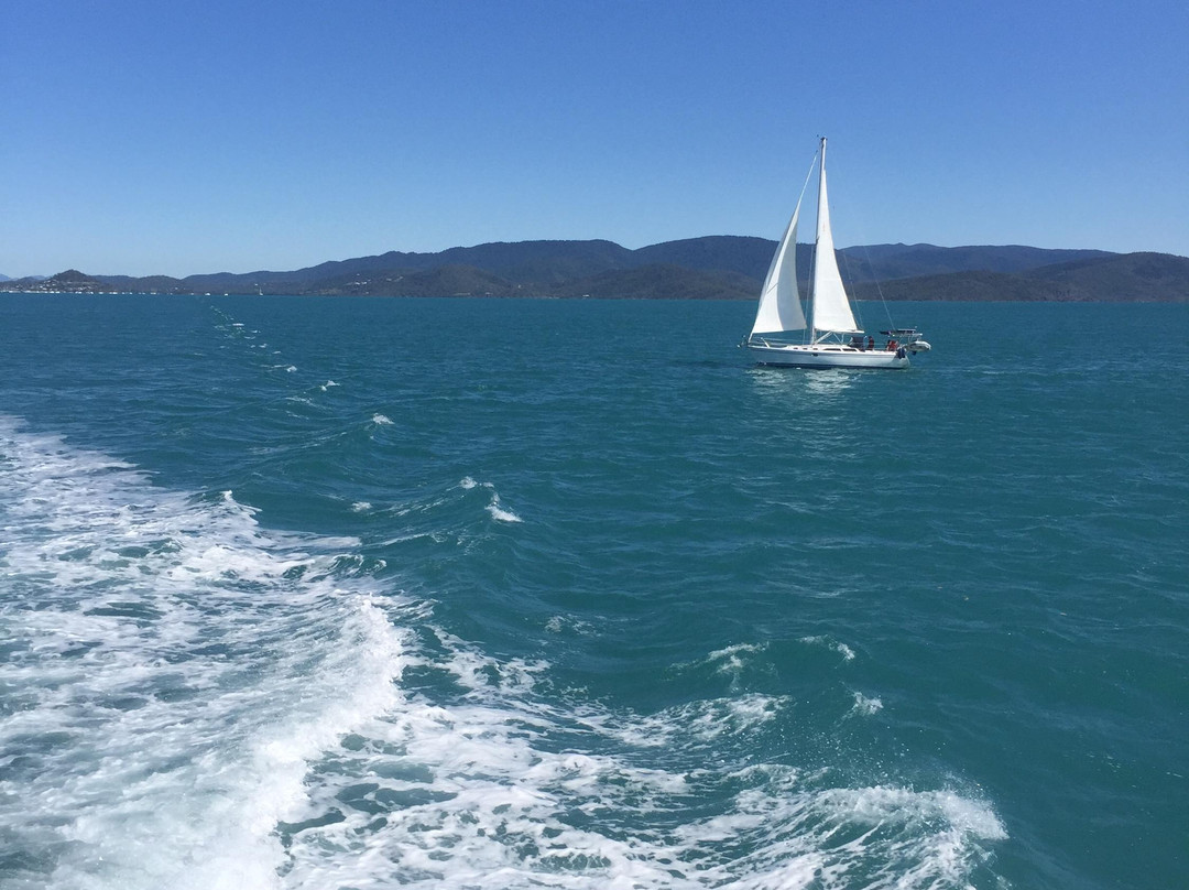 Ocean Dynamics-艾尔利滩必去景点