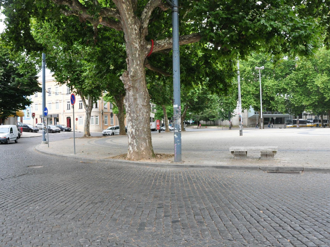 Praça da República景点图片