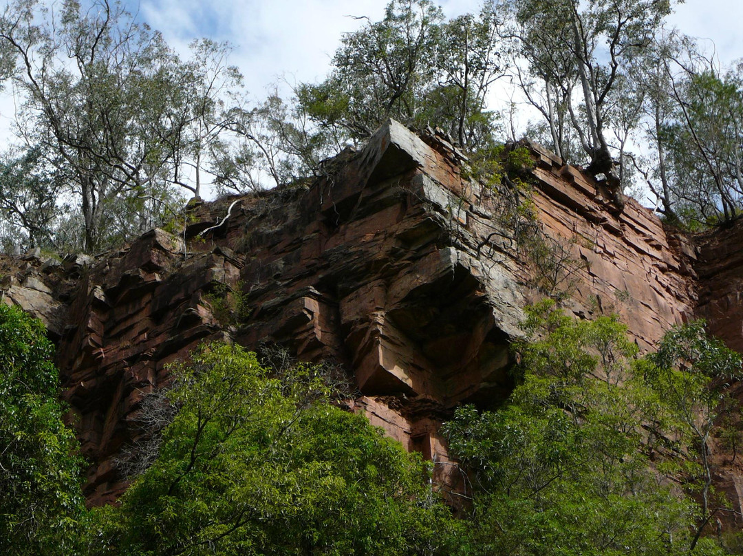 Mitchell River Walking Track景点图片