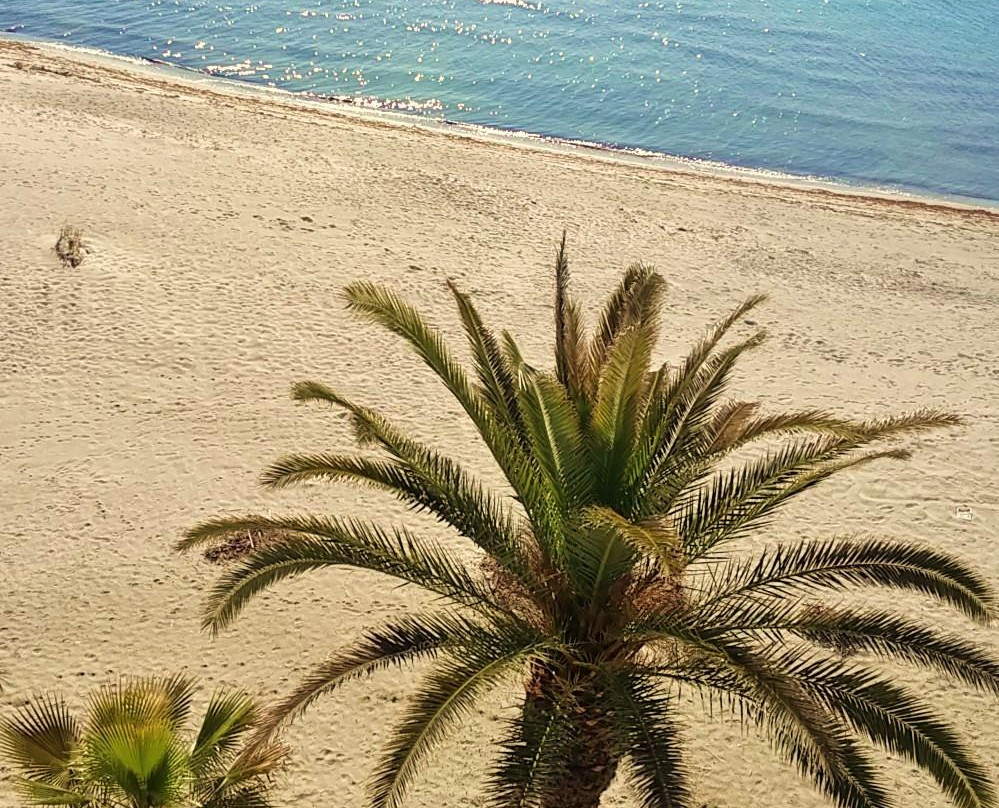 Nea Agathoupoli酒店住宿-Avra Hotel