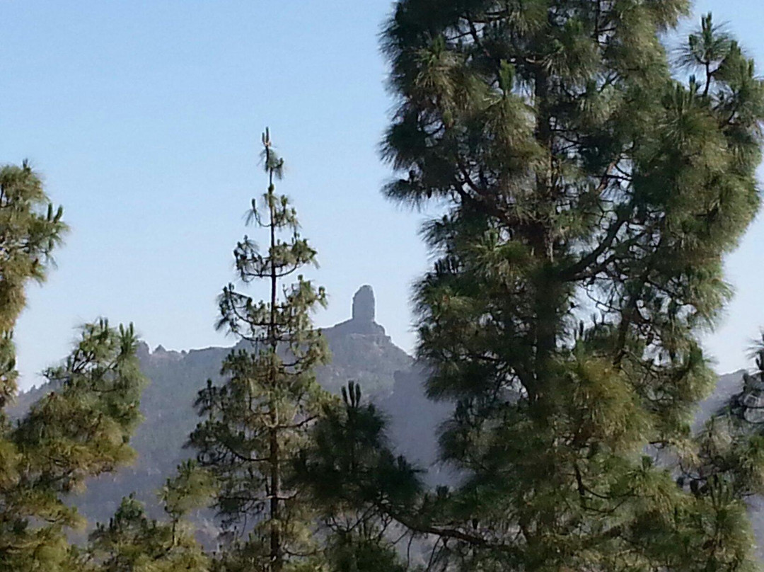 Roque Nublo-Tejeda必去景点