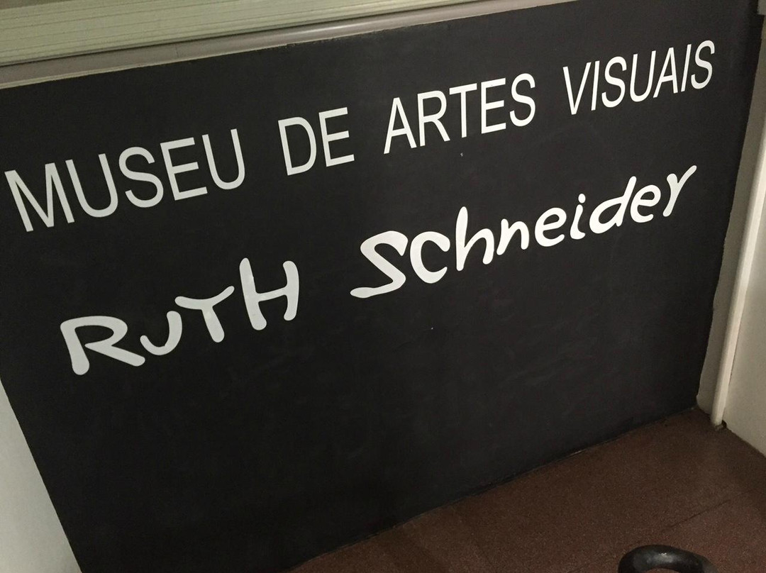 Museu de Artes Visuais Ruth Schneider景点图片