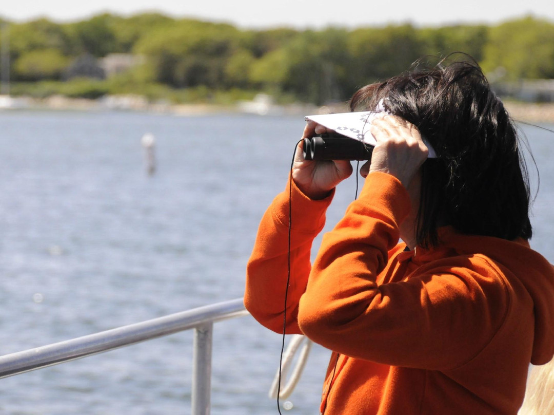 Starfish Bass River Cruises景点图片