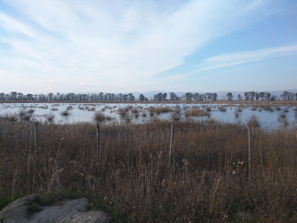 Salty Lake Oasis景点图片
