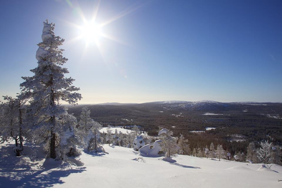 Salla Ski & Active-Salla必去景点