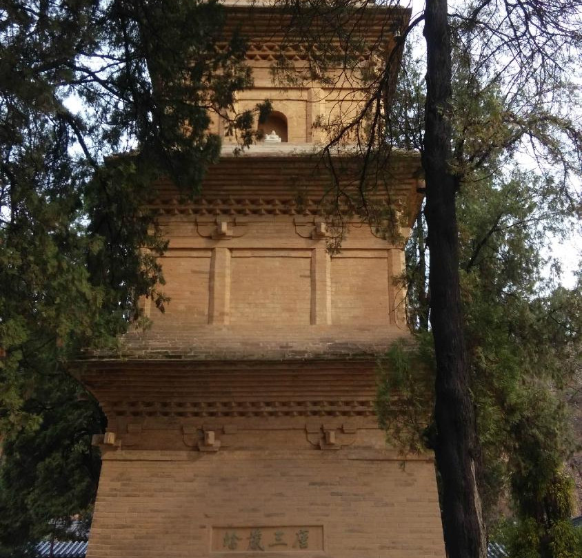 兴教寺塔-西安市必去景点