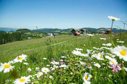 Ribnica na Pohorje旅游攻略图片