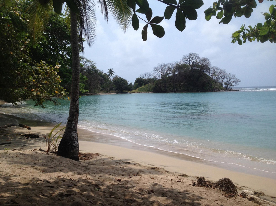 Portobelo Tours景点图片