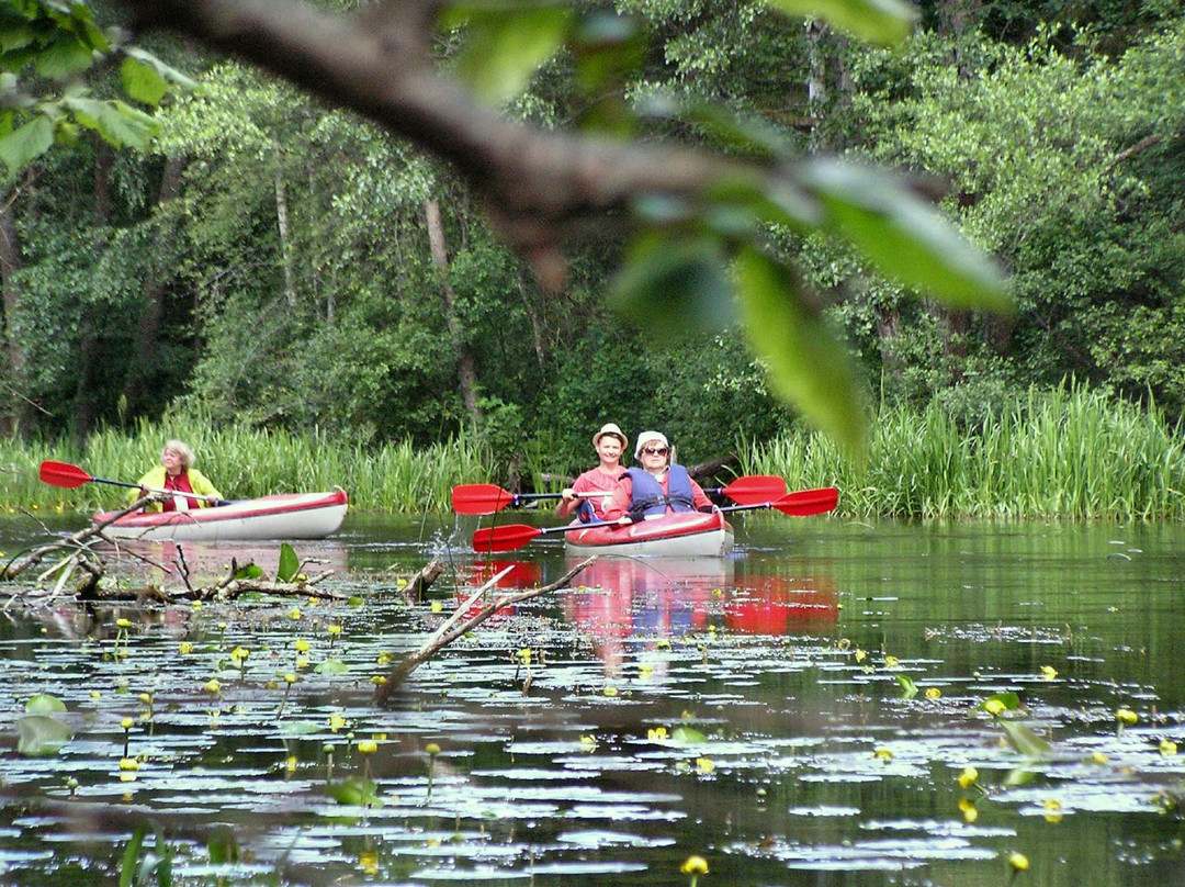 Baidares.com - Kayak Rent-Kaltanenai必去景点