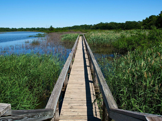 Lake Worth-沃思堡必去景点