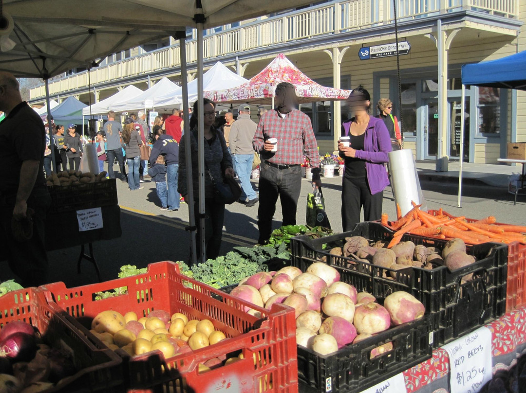 Pleasanton Farmers' Market-普莱森顿必去景点