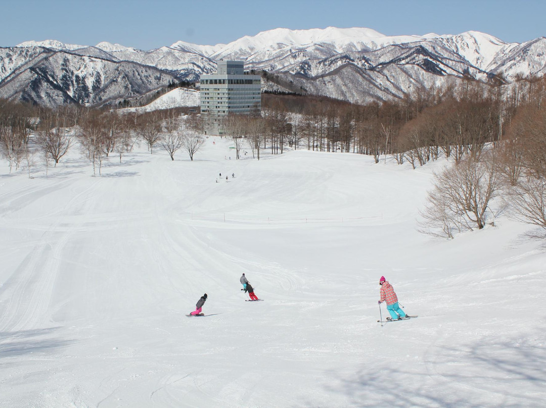 Minakami Kogen Ski Resort景点图片