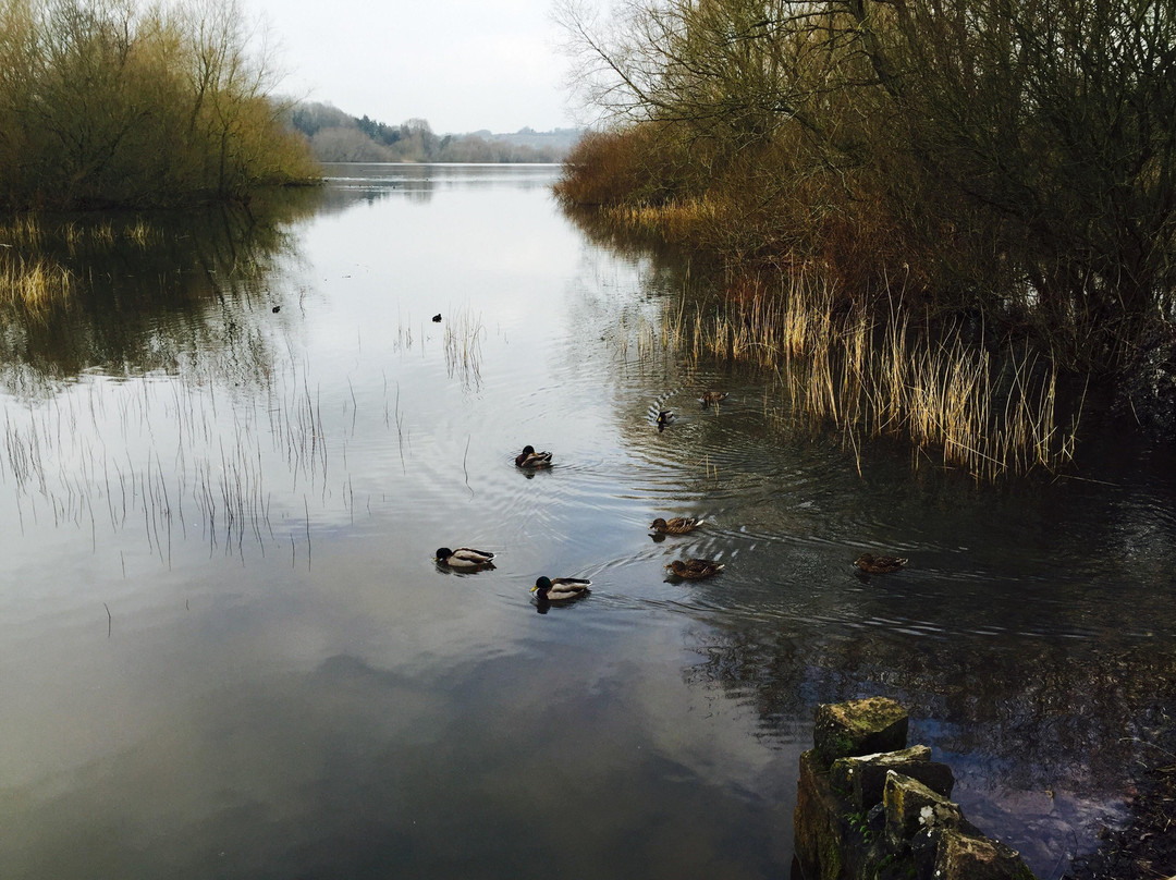 Chew Valley Lake-萨默塞特郡必去景点