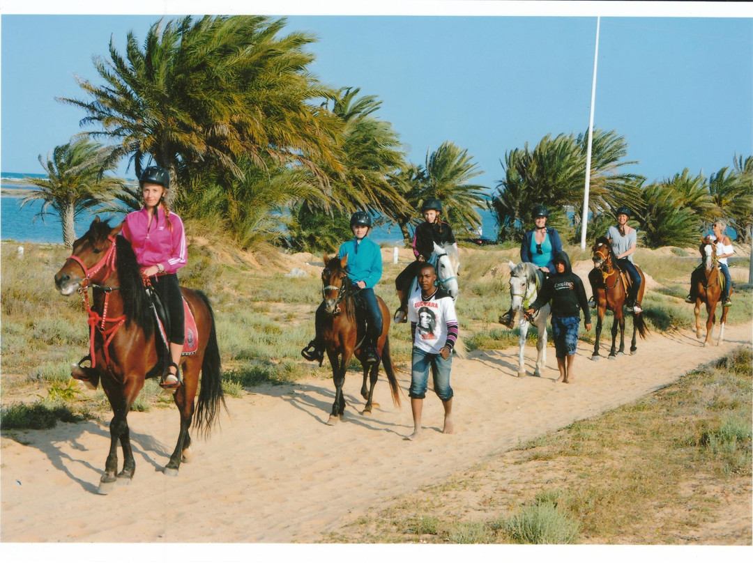 Ranch Adada Djerba-阿基尔必去景点