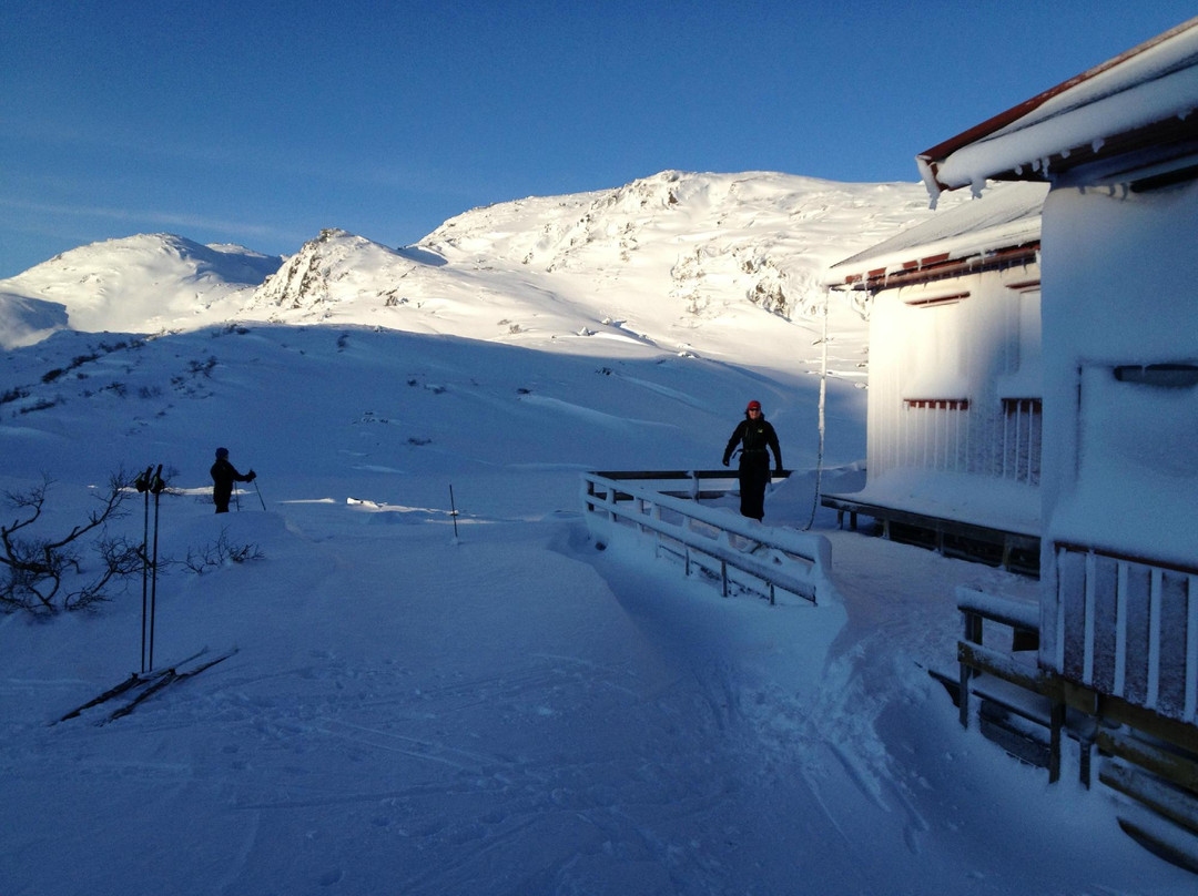 Ljosland Skisenter景点图片