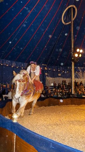 Chandler Center for the Arts-钱德勒必去景点