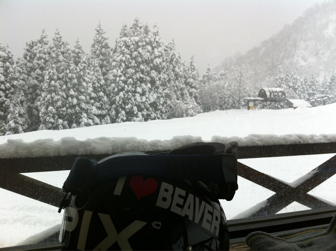 Hakusan Seymour Ski Resort景点图片