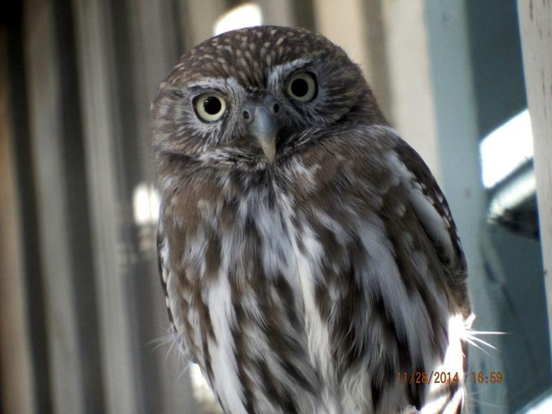 Wild at Heart-洞溪必去景点