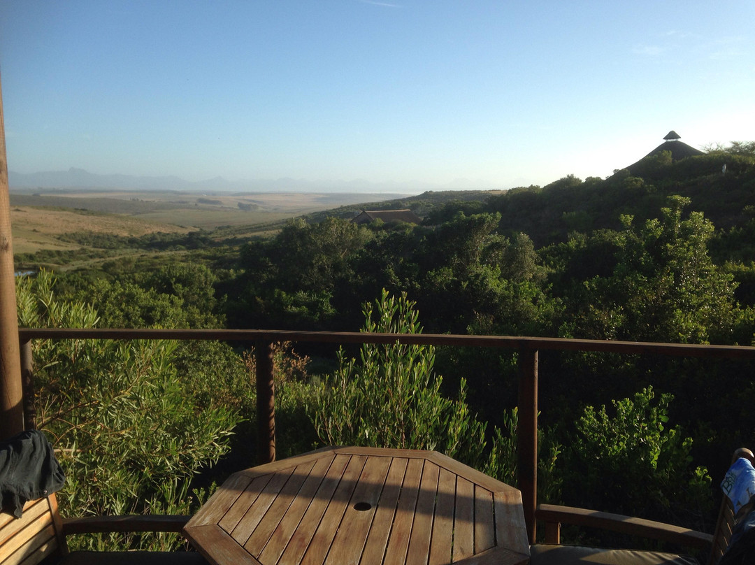 BokBus Garden Route Adventure Tours - Day Tours景点图片
