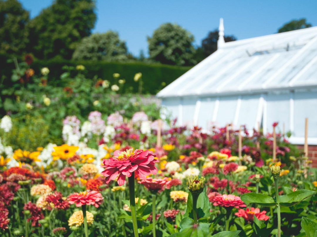 West Dean Gardens景点图片