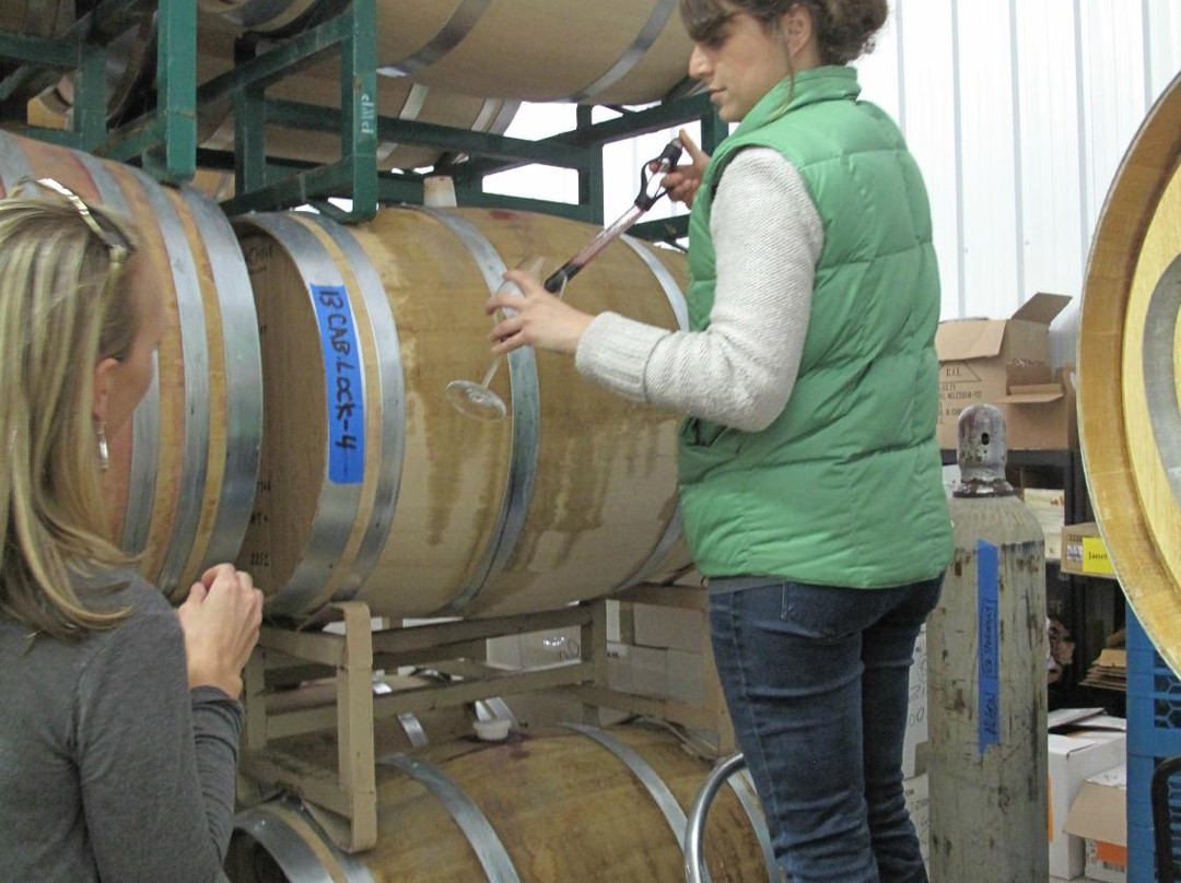 Ecluse Wines景点图片