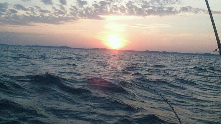 Bending Limits Sportfishing Charters景点图片