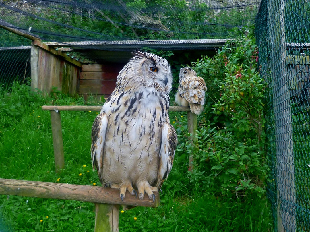 The Owls Trust景点图片