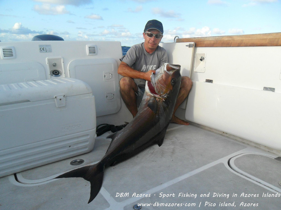 DBM Azores - Sport Fishing Charters-Sao Roque do Pico必去景点