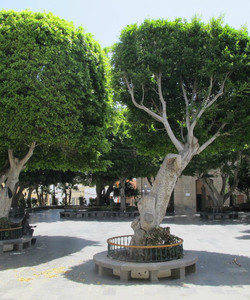 Plaza Del Rosario景点门票图片
