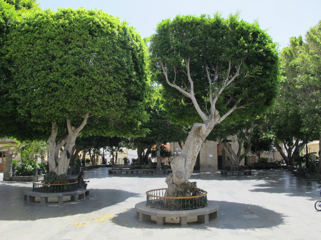 Plaza Del Rosario景点图片