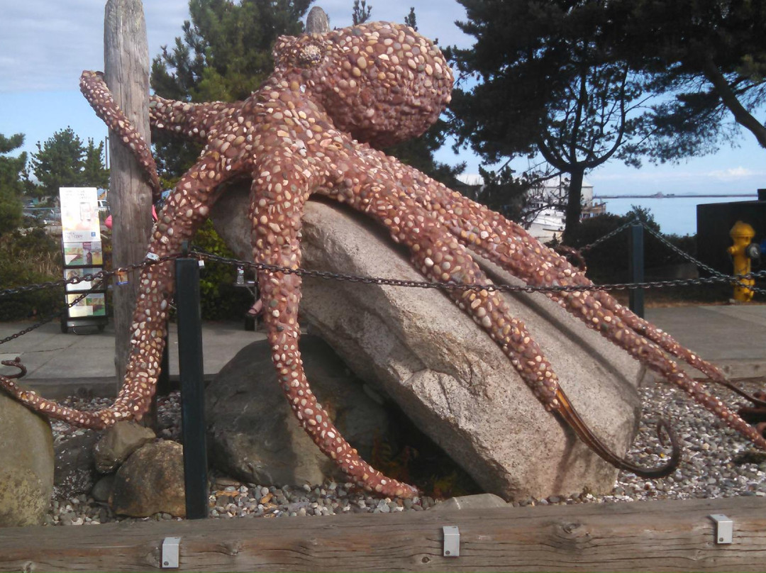 Olympic Coast Discovery Center景点图片