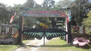 Mt. Trusmadi Apin-apin-根地咬必去景点