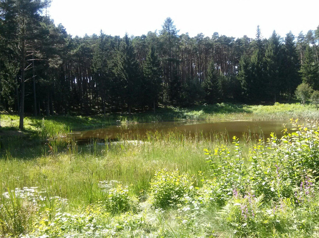 Lago della Serraia景点图片
