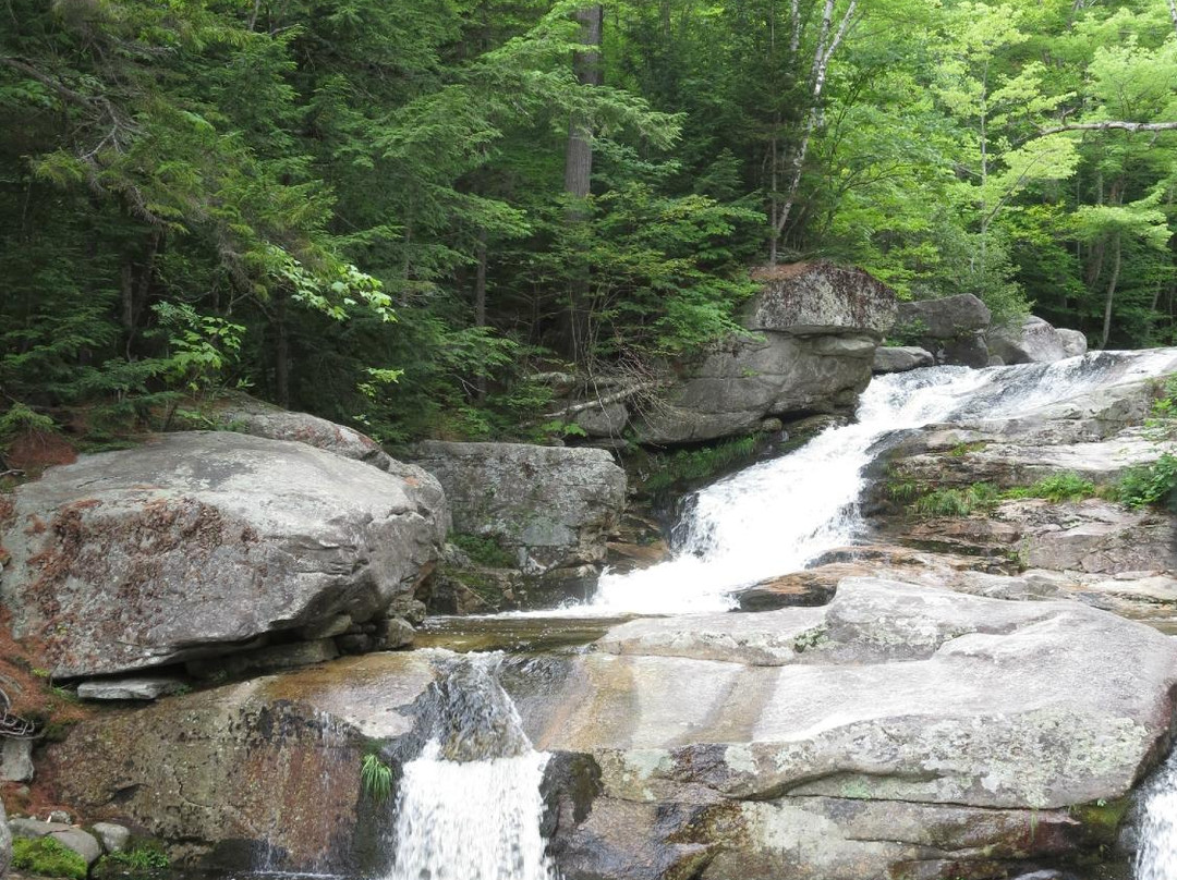 Step Falls Preserve Hiking Trail景点图片