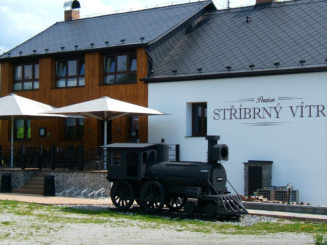 Horni Plana酒店住宿-Penzion Stribrny vitr