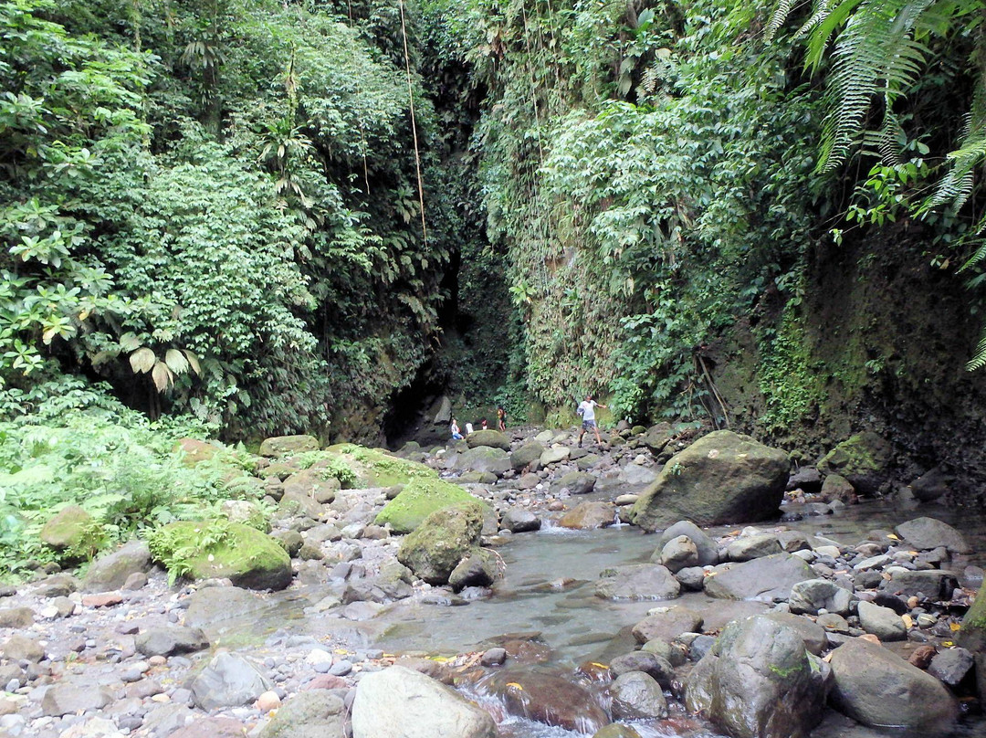 Les Gorges de la Falaise-马提尼克必去景点