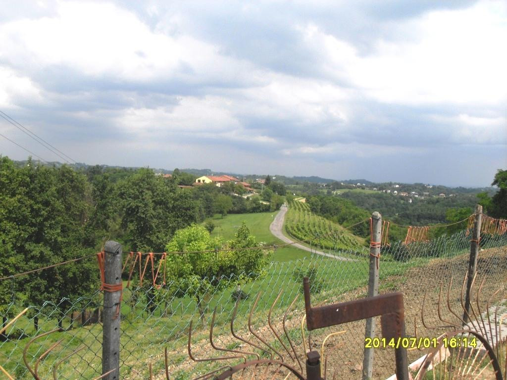 Agrilatteria Del Pianalto景点图片