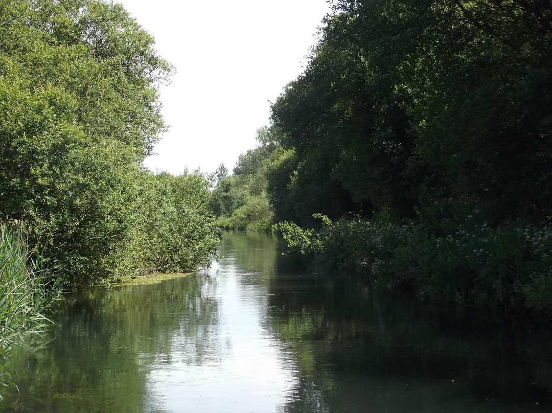 Winnall Moors Nature Reserve景点图片
