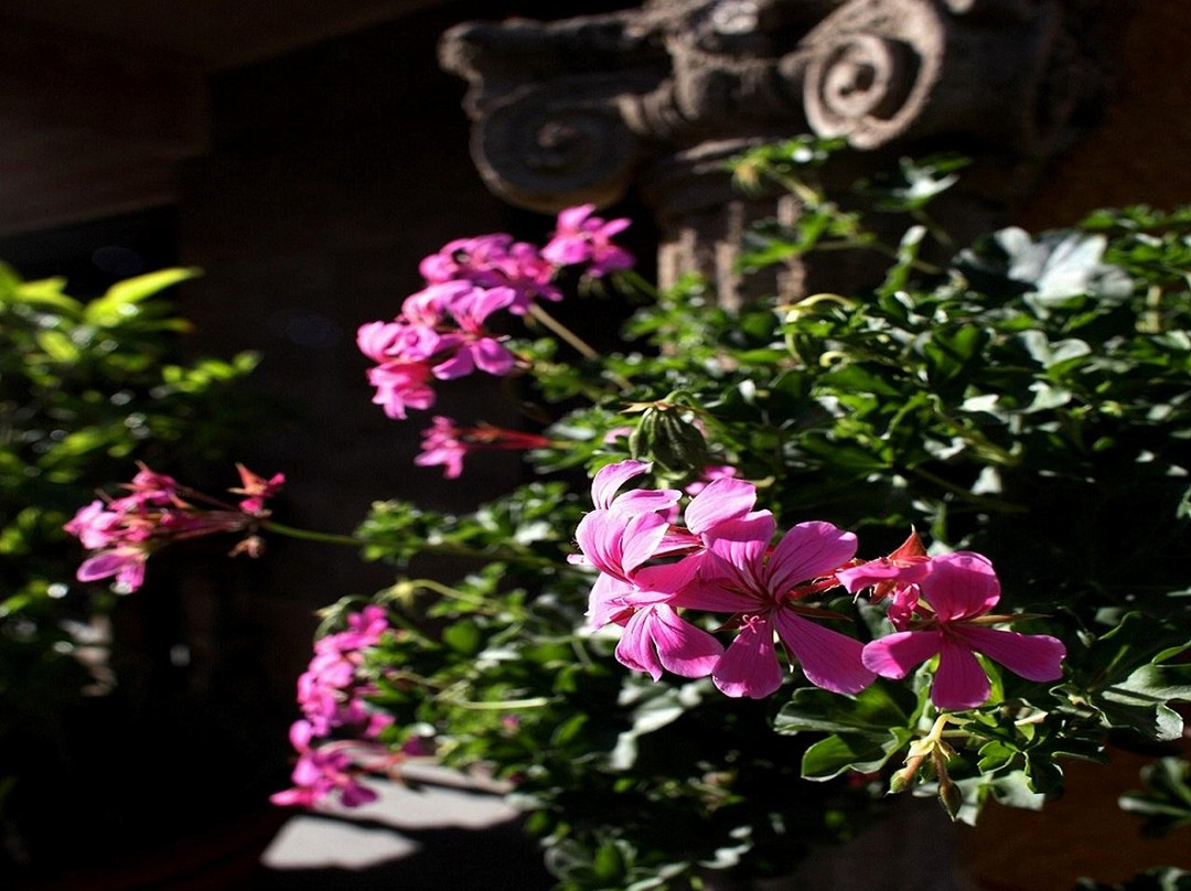 Paestum酒店住宿-Hotel Poseidonia Mare