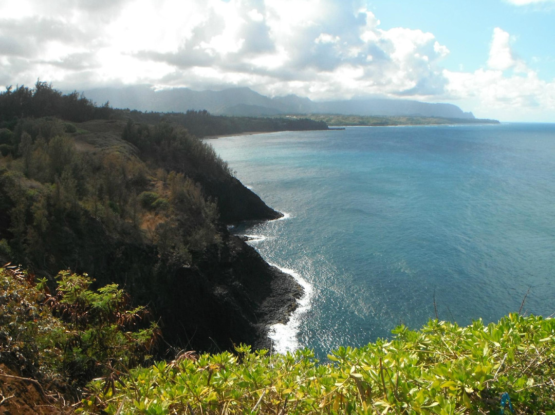 Kauai Eden Tours景点图片