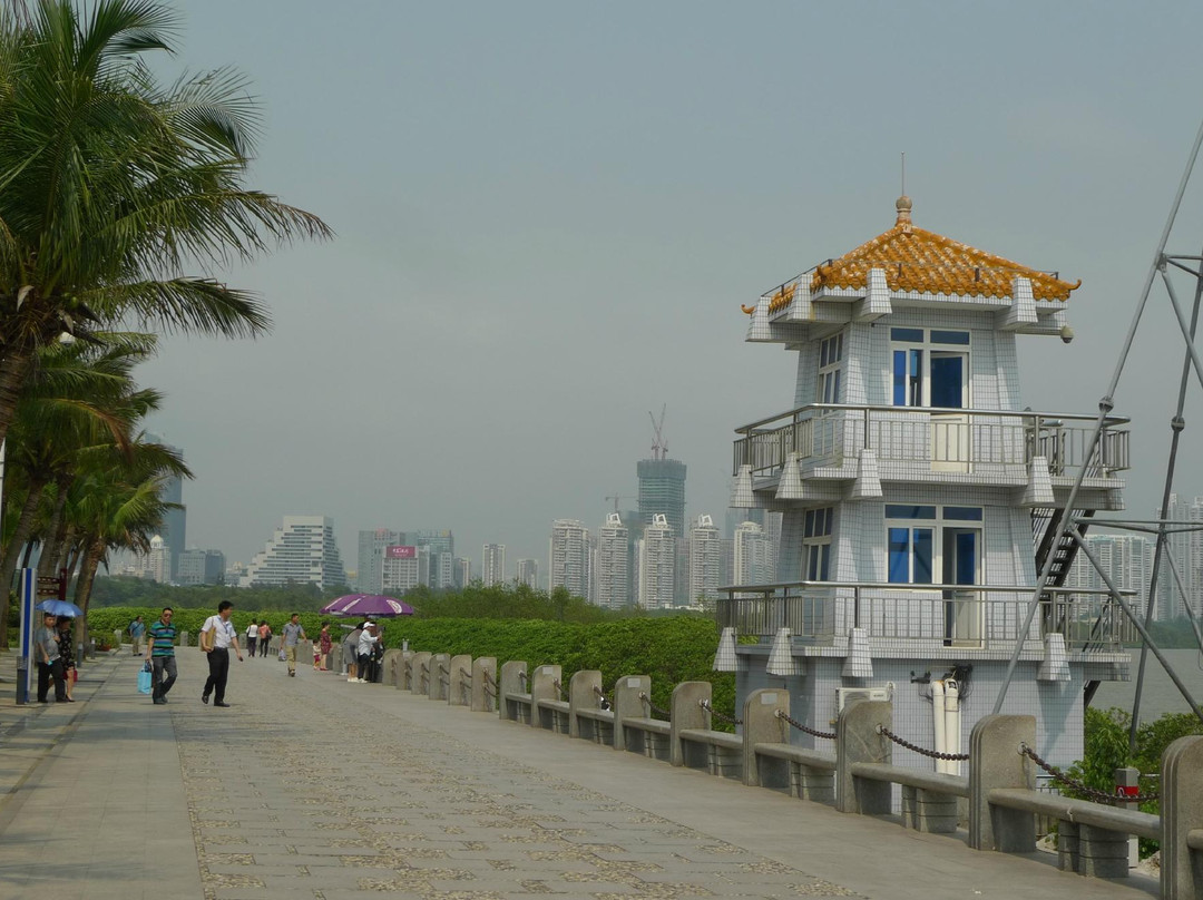 福田红树林自然保护区-深圳市必去景点