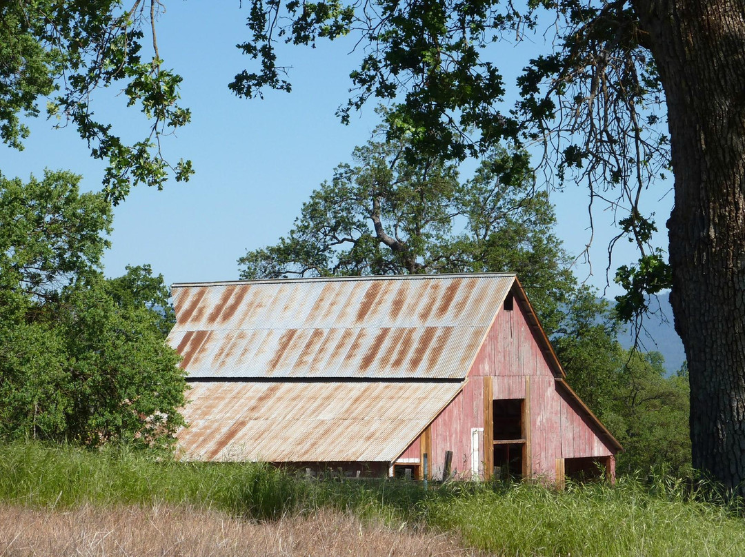 Ahwahnee Hills Regional Park-Ahwahnee必去景点