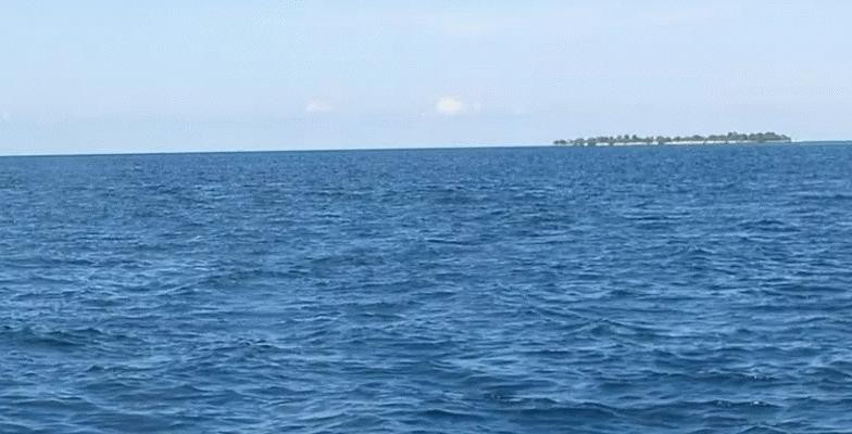 婆罗州快捷潜水-仙本那必去景点