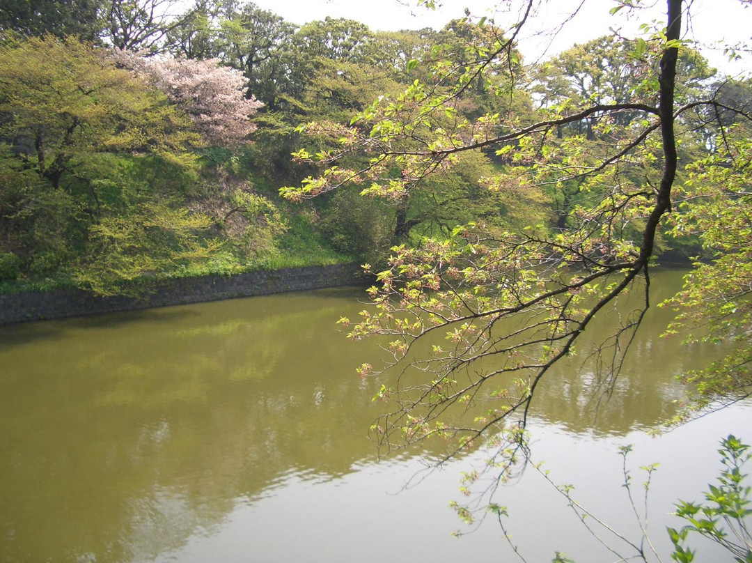 千鸟渊-千代田区必去景点
