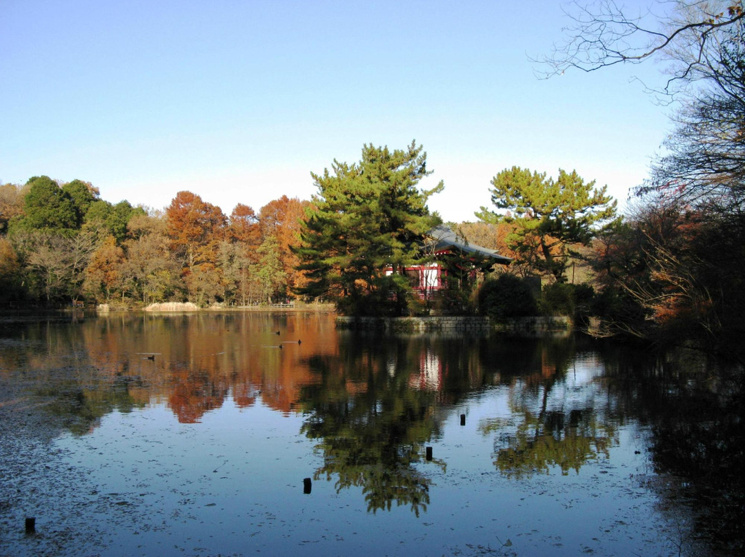 石神井公园-练马区必去景点
