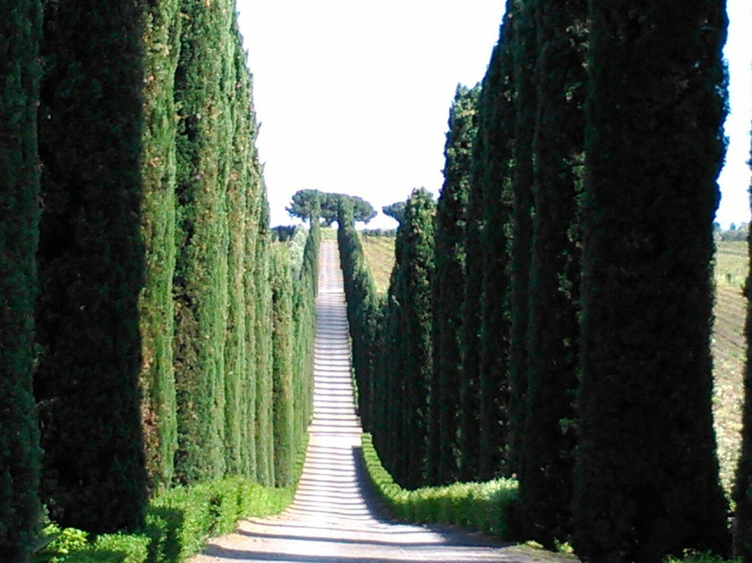 Rutuli Vineyard-波梅齐亚必去景点