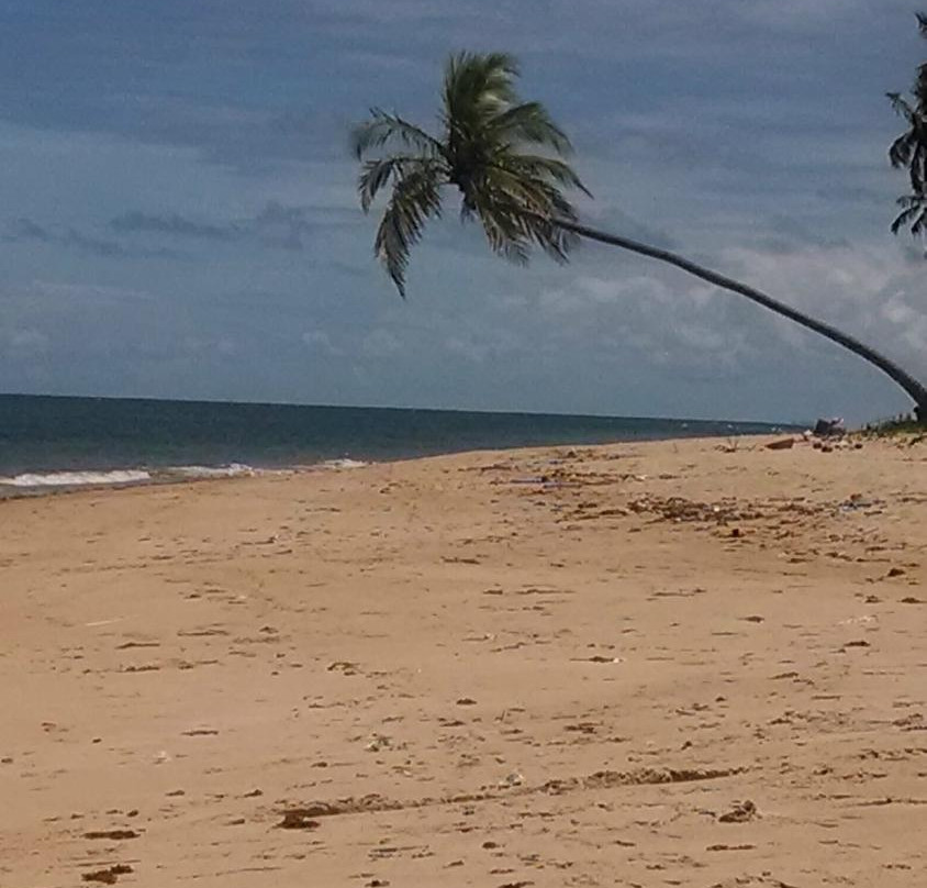 Tairu Beach景点图片